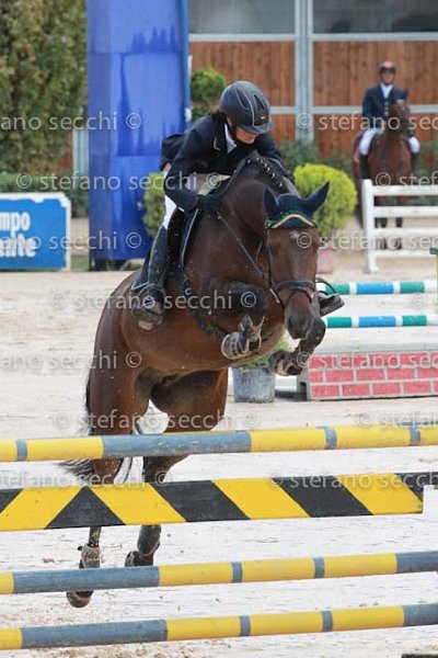 ZANETTI_INDY_GIO CAV 2011_SS3_8935.jpg